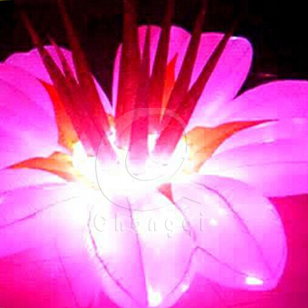 QQ图片20140814110744